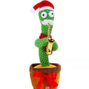 Caquito Repete A Fala, Dança E Toca Música